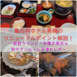 【宿泊記】亀の井ホテル青梅のリニューアルポイント解説！新設ラウンジ・半露天風呂＆和モダンルーム子連れレポ