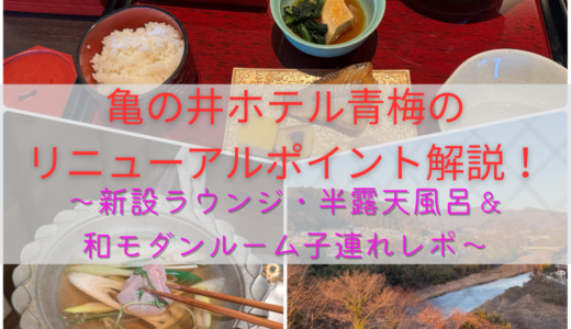 【宿泊記】亀の井ホテル青梅のリニューアルポイント解説！新設ラウンジ・半露天風呂＆和モダンルーム子連れレポ